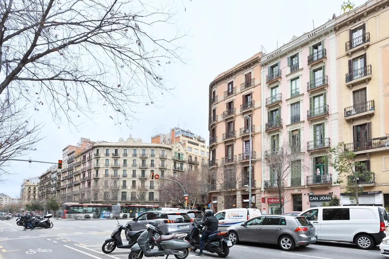 Cozy Bright Apartment Barcelona