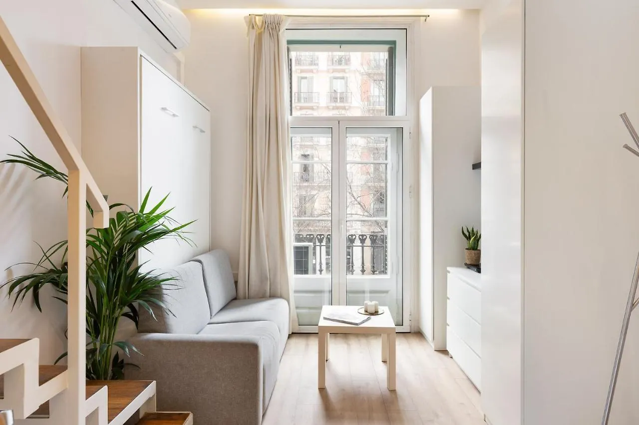 Cozy Bright Apartment Barcelona